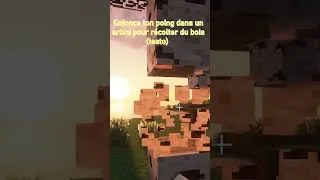 Miniature : Les citations Minecraft qui ont changé ma vie