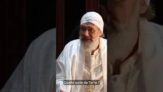 Miniature : Rael, il est indispensable de protéger la Terre