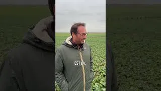 Miniature : 🌱💪 RGT CEOS, le décathlonien du colza – Témoignage exclusif avec Patrick Montel 🎤🚜