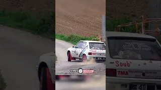 Miniature : Rallye de la Noix de Grenoble 2024 - on the limit #automobile #rally #racing #fail #rallycar
