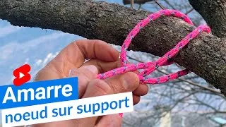 Miniature : Cabestan sur un arbre