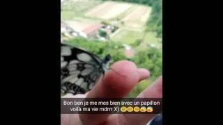 Miniature : Courte vidéo mais efficace mdr voilà un extrait de a quoi ressemble ma vie