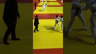 Miniature : Judo Ile de France Paris Raphaël Lhuissier Chevallier #judo #sport #pourtoi