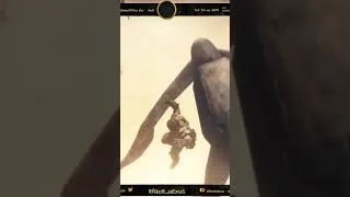Miniature : I beleve, I can fly... Nope ! | #razor_nexus sur #Twitch