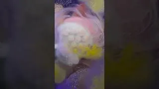 Miniature : soin du visage printanier avec la vitre 🌼🌸 #asmr