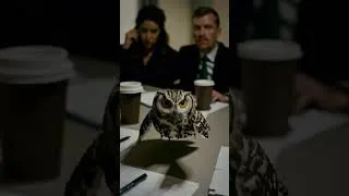 Miniature : Le PIRE Agent Secret de l’Histoire (C’est un Hibou)