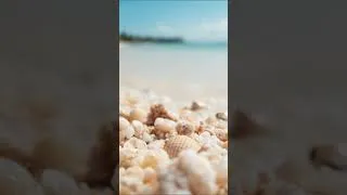 Miniature : Caribbean Slow Dream | Quiet Happiness Soundtrack | Meditation & Relaxation