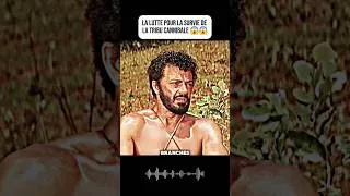Miniature : une histoire vraie