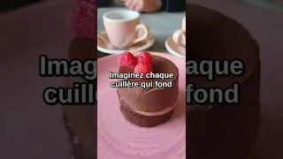 Miniature : Mousse Au Chocolat Légère : Le Dessert Irrésistible !