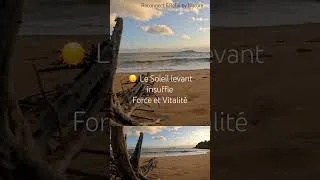 Miniature : L'Art de la Connexion au symbolisme derrière les éléments naturels