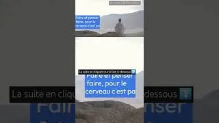 Miniature : Biomimétisme et neurosciences: explication du Totémisme Traditionnel ?
