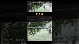 Miniature : Imaginez. .. Un matin 🌳🍃Une forêt tropicale: un délicieux réveil🌅 sous la pluie ☔️
