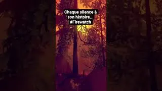 Miniature : Chaque silence a son histoire... #Firewatch #shortvideo #shorts