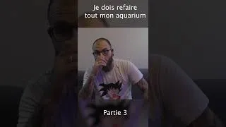 Miniature : JE DOIS REFAIRE MON AQUARIUM PARTIE 3