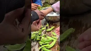 Miniature : Agriculture Urbaine et production alimentaire dans une école