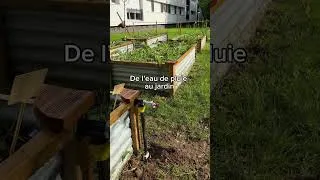 Miniature : Installation d’une station de récupération des eau de plus en milieu urbain. Agriculture urbaine