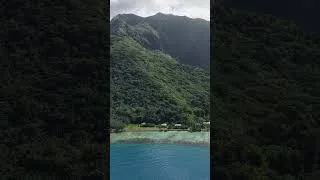 Miniature : Reggae Tahiti - Nana 2025