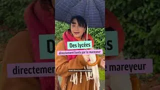 Miniature : LE FAUX DU VRAI | Du poisson frais dans les assiettes des lycées publics bretons ?