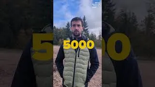 Miniature : Scolytes en Bourgogne-Franche-Comté : Martial Taulemesse de Fibois nous en parle.