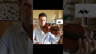 Miniature : Les Articulations au violon