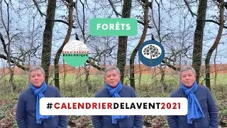 Miniature : Forêts #CalendrierdelAvent2021 Carbon Forest