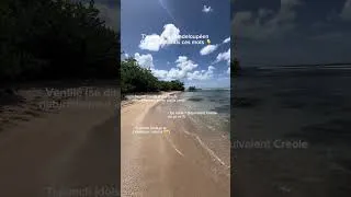 Miniature : Qui connaissait déjà ses expressions AVANT de venir en Guadeloupe ?