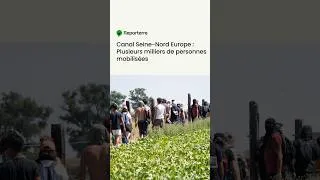 Miniature : Canal Seine-Nord Europe : Plusieurs milliers de personnes mobilisées