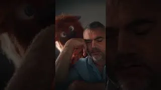 Miniature : Dis adieu au monstre qui hante tes nuits - Le travail depuis la maison