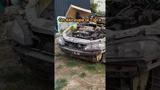 Miniature : Découper cette Tigra était une mauvaise idée