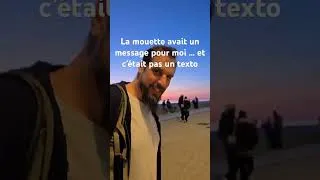 Miniature : La mouette avait un message et c était pas un sms … #playa #sea #viralvideo #viralshorts #omg