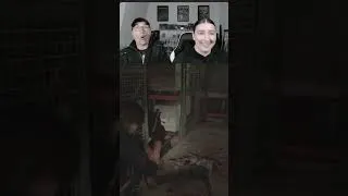 Miniature : Resident Evil Requiem, dentist time! 😁 #residentevil #survivalhorror #humour