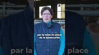 Miniature : Cash investissement #19 - "Notre système de traitement de l’eau améliore la santé des bovins"