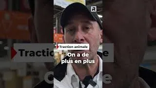 Miniature : Est-ce que tu connais la Lourdaise ?