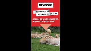 Miniature : Est-ce que tu connais la blonde d’Aquitaine ?