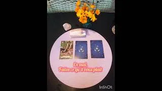 Miniature : En mai, faîtes ce qu'il vous plaît !🌺