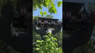 Miniature : King Kong attraction incroyable au Parc Le Pal #shorts