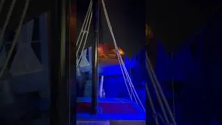 Miniature : Attraction Peter Pan’s Flight à DISNEYLAND PARIS #shorts