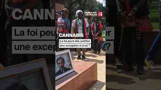 Miniature : Kenya : pourquoi le cannabis est-il indispensable à la culture rastafari ? • #rfi #cannabiscommunity