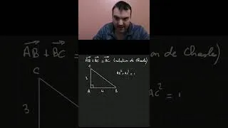 Miniature : Pourquoi il ne faut surtout pas oublier les flèches au dessus des vecteurs ?