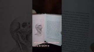 Miniature : Répond à l'appel du SIDH #berserk #fantasy #romanfan #leseigneurdesanneaux