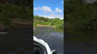 Miniature : Passage à gué du côté de Saint Joseph (rivière blanche) Martinique