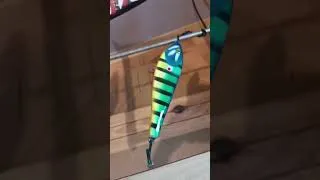 Miniature : 🎣🎨Si tu aimes le craft, la pêche aux carnassiers, abonne-toi pour voir la suite ! 🔥🔥