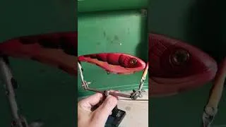Miniature : quel est le coloris de ce jerk ?! #craft #jerkbaits #handmadefishinglure #pikefishing #crawfish
