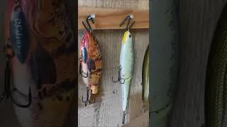 Miniature : Comment ranger ses leurres de pêche !  c'est propre !