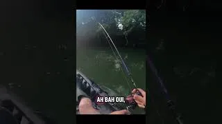 Miniature : La touche de malade ! #pêche #pourtoi #pêcheur #fishing