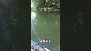 Miniature : Un poisson méfiant ! #pêche #fishing #pourtoi #pêcheur