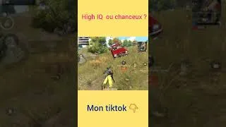 Miniature : high IQ 🤓ou Chanceux 🍀