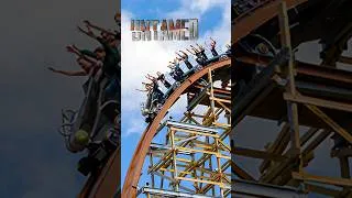 Miniature : Untamed 🌿 - @WalibiHolland 🎢 #untamed #rmc #walibiholland #shorts