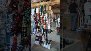Miniature : AU MILIEU DU KAROO