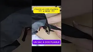 Miniature : Unboxing d’un colis mystère acheté à la Foire de Marseille ! #unboxing #colismystere